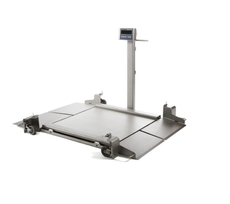 2888P-SS Floor Scale - Capacidad de 0.5K - Plataforma industrial 24x24 con cable de 1 pie