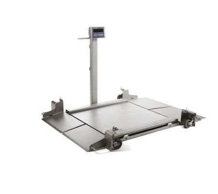 2888P-SS Floor Scale - Capacidad de 0.5K - Plataforma industrial 24x24 con cable de 1 pie