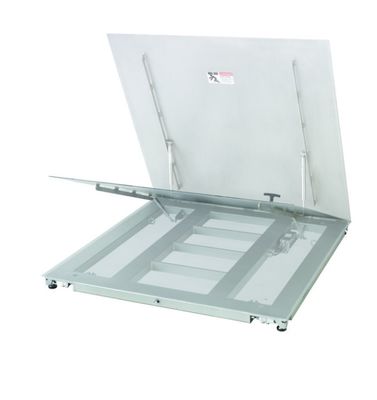 Báscula de plataforma industrial con elevación PFA779lift-DS300A - Plataforma duradera con fácil acceso para mantenimiento